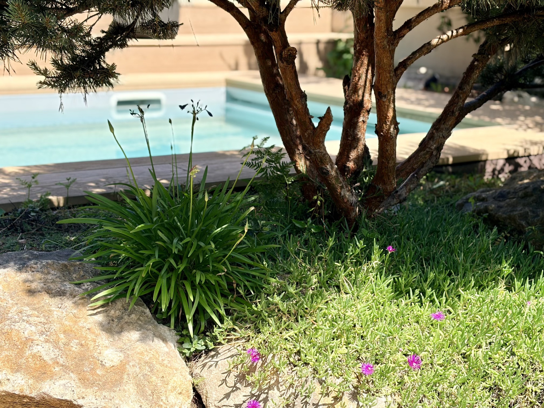 Espaces extérieurs avec piscine chauffée et jardin